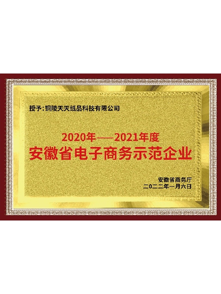 安徽省電子商務示范企業(yè)
