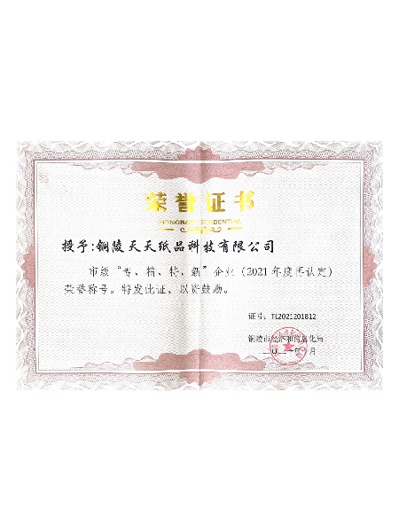 天-榮譽(yù)證書 (2).jpg