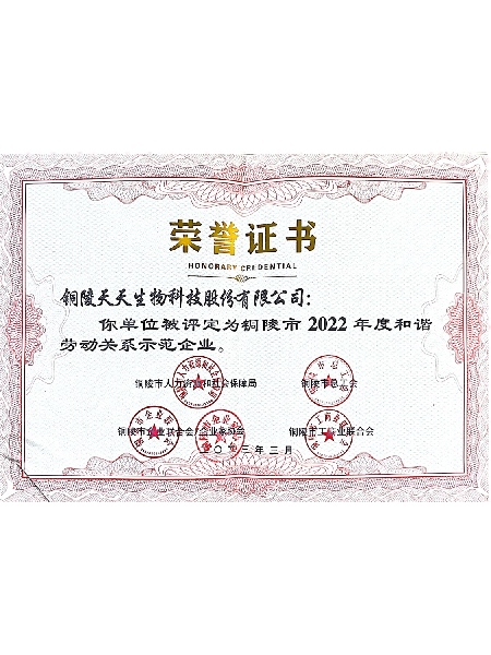 天-榮譽證書 (3).jpg